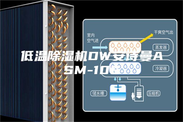 低溫除濕機(jī)DW安詩(shī)曼ASM-10S
