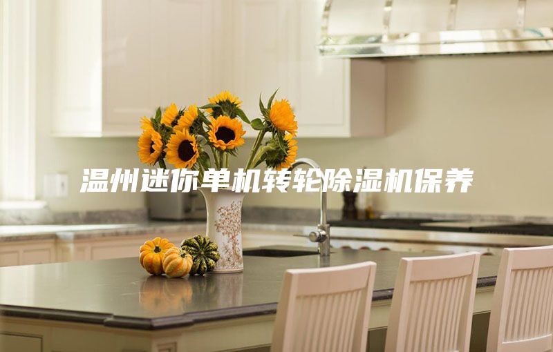 溫州迷你單機轉輪除濕機保養(yǎng)