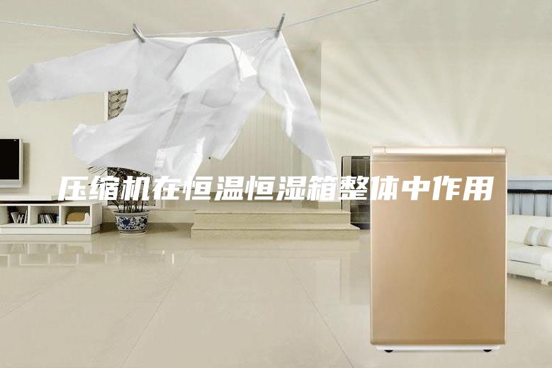壓縮機(jī)在恒溫恒濕箱整體中作用