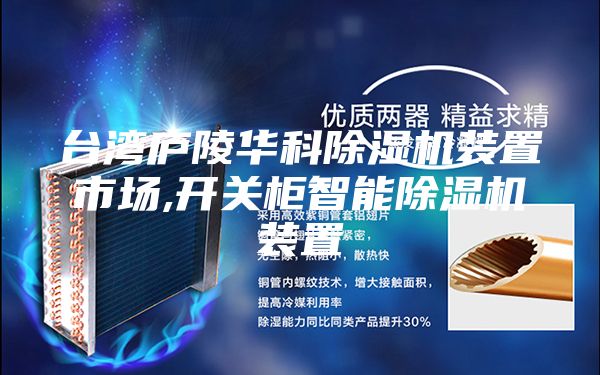 臺(tái)灣廬陵華科除濕機(jī)裝置市場,開關(guān)柜智能除濕機(jī)裝置