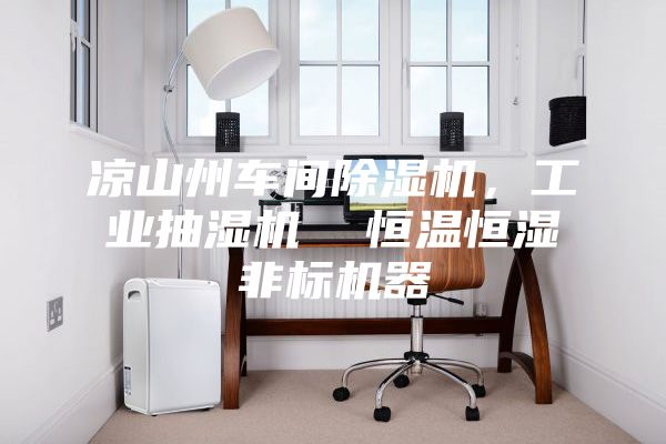 涼山州車間除濕機，工業(yè)抽濕機  恒溫恒濕非標(biāo)機器