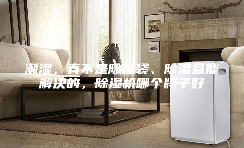 潮濕，真不是除濕袋、除濕盒能解決的，除濕機哪個牌子好