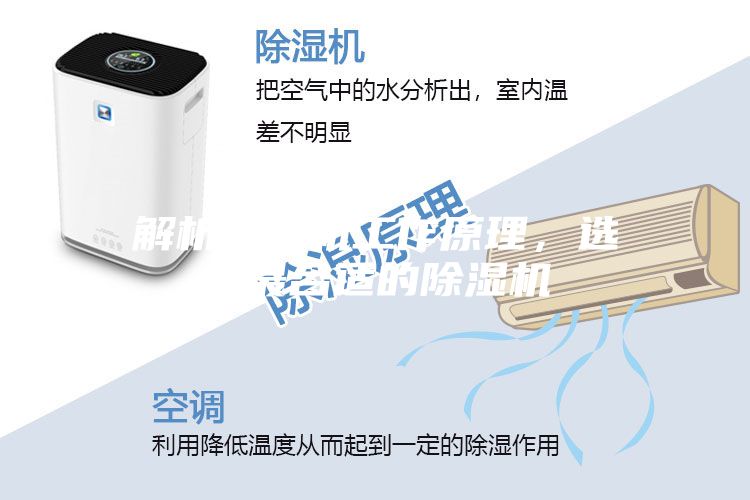 解析壓縮機(jī)工作原理,選購(gòu)最合適的除濕機(jī)