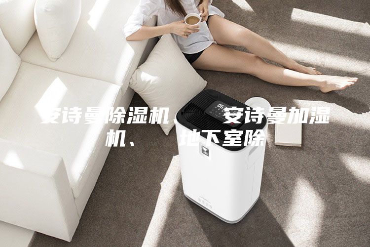 安詩曼除濕機、  安詩曼加濕機、  地下室除