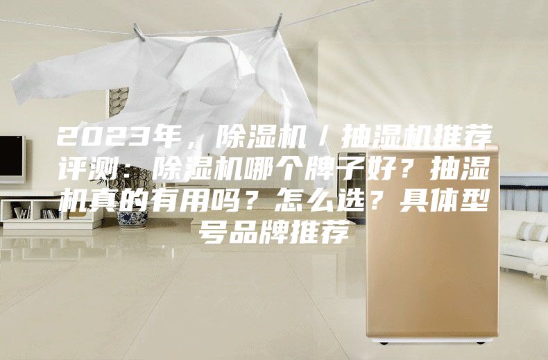 2023年，除濕機／抽濕機推薦評測：除濕機哪個牌子好？抽濕機真的有用嗎？怎么選？具體型號品牌推薦