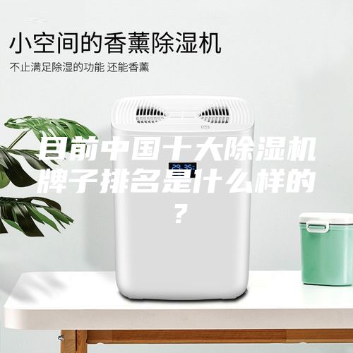 目前中國十大除濕機(jī)牌子排名是什么樣的？