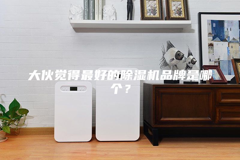 大伙覺得最好的除濕機(jī)品牌是哪個(gè)？