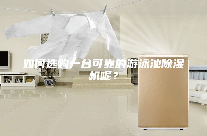 如何選購一臺可靠的游泳池除濕機呢？