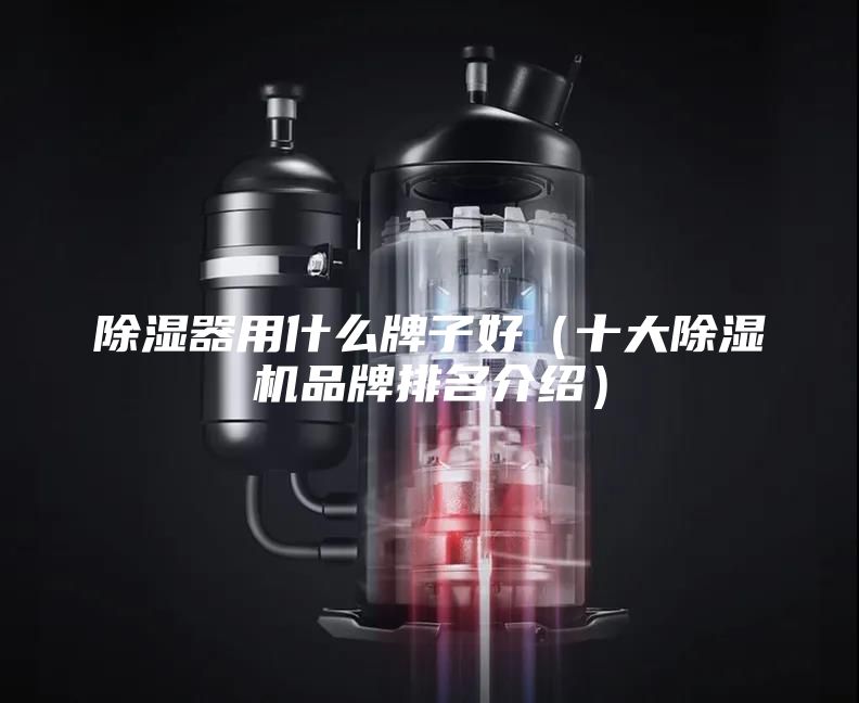 除濕器用什么牌子好(十大除濕機品牌排名介紹)
