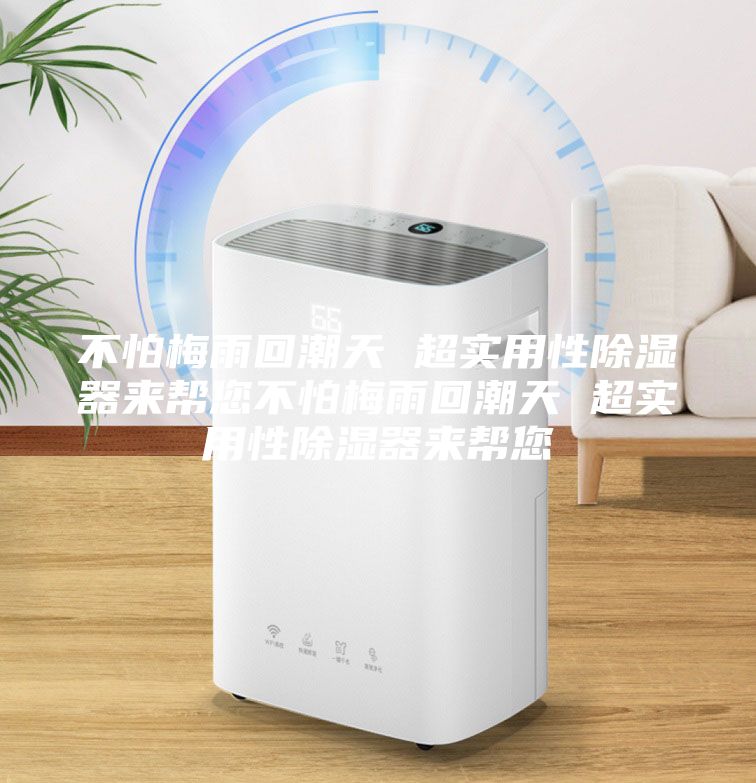 不怕梅雨回潮天 超實(shí)用性除濕器來(lái)幫您不怕梅雨回潮天 超實(shí)用性除濕器來(lái)幫您