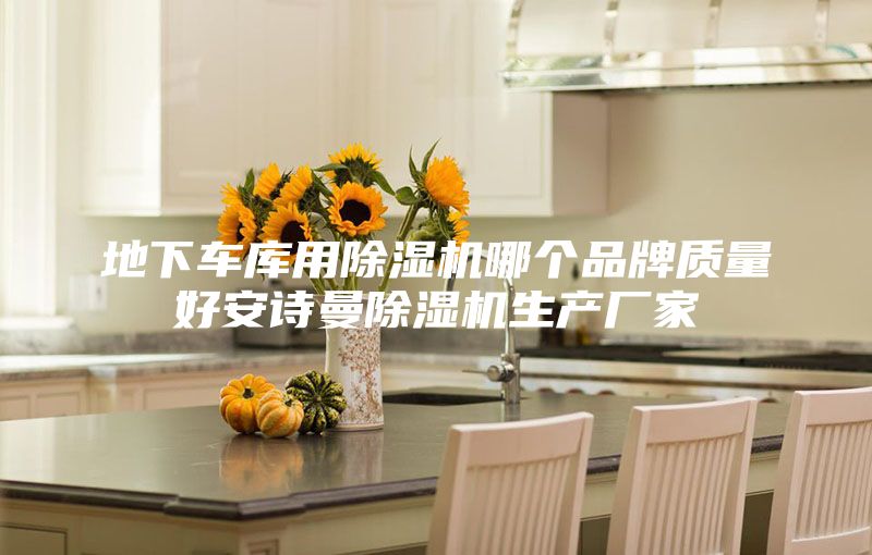 地下車庫用除濕機哪個品牌質量好安詩曼除濕機生產廠家