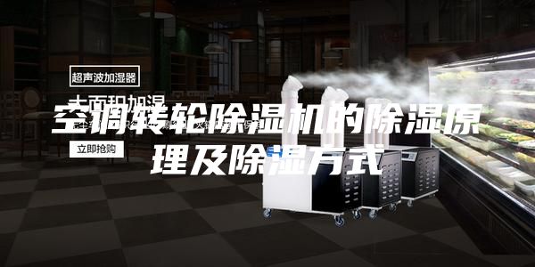 空調(diào)轉(zhuǎn)輪除濕機的除濕原理及除濕方式