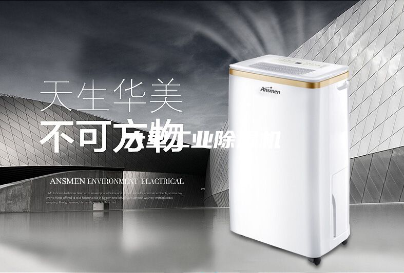 大型工業(yè)除濕機