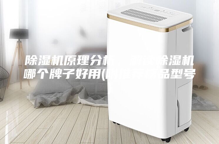 除濕機原理分析,解讀除濕機哪個牌子好用(附推薦精品型號)