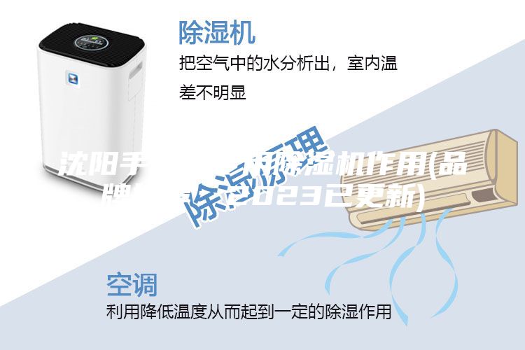 沈陽(yáng)手套箱專(zhuān)用除濕機(jī)作用(品牌推薦：2023已更新)