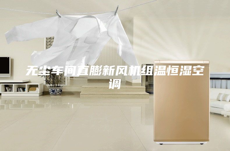 無塵車間直膨新風(fēng)機(jī)組溫恒濕空調(diào)