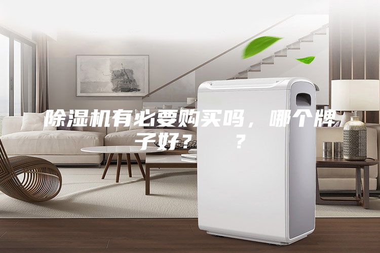除濕機有必要購買嗎，哪個牌子好？  ？