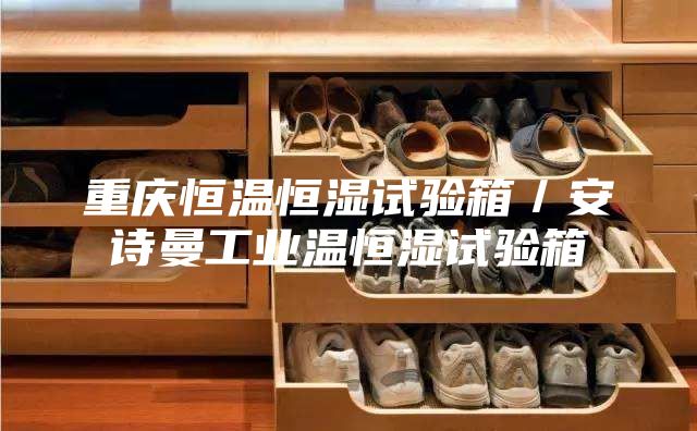 重慶恒溫恒濕試驗箱／安詩曼工業溫恒濕試驗箱