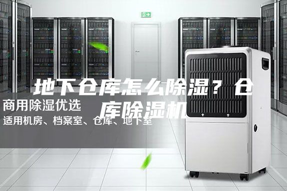 地下倉(cāng)庫(kù)怎么除濕？倉(cāng)庫(kù)除濕機(jī)