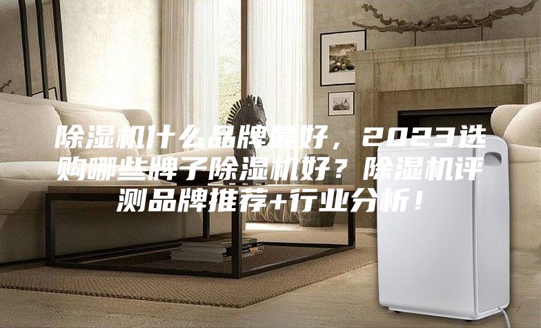 除濕機什么品牌最好，2023選購哪些牌子除濕機好？除濕機評測品牌推薦+行業分析！