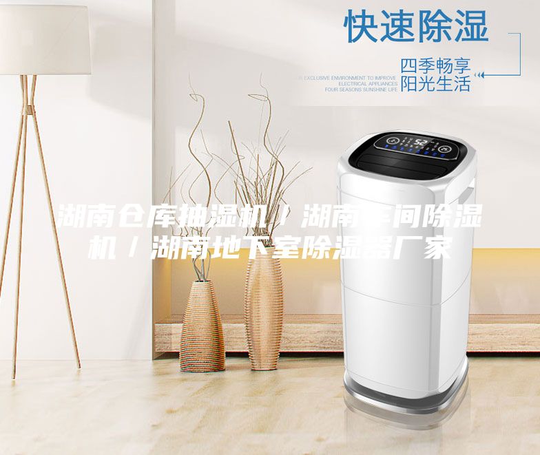 湖南倉(cāng)庫(kù)抽濕機(jī)／湖南車間除濕機(jī)／湖南地下室除濕器廠家