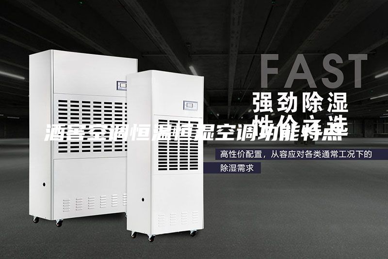 酒窖空調(diào)恒溫恒濕空調(diào)功能特點(diǎn)