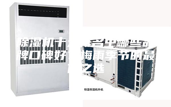 除濕機(jī)十大排名中哪些品牌口碑好？梅雨季節(jié)的最佳之選