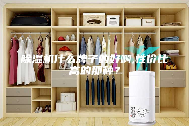 除濕機什么牌子的好啊,性價比高的那種？