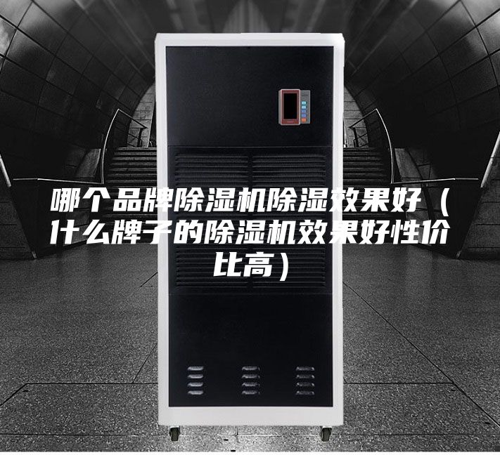 哪個品牌除濕機除濕效果好（什么牌子的除濕機效果好性價比高）