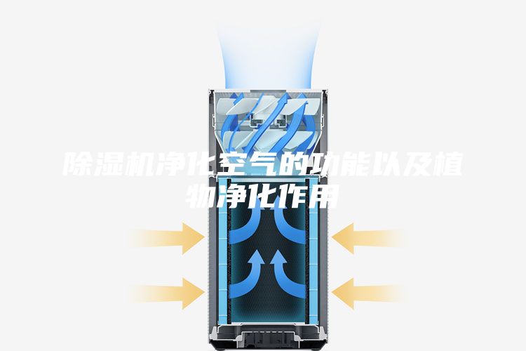 除濕機凈化空氣的功能以及植物凈化作用