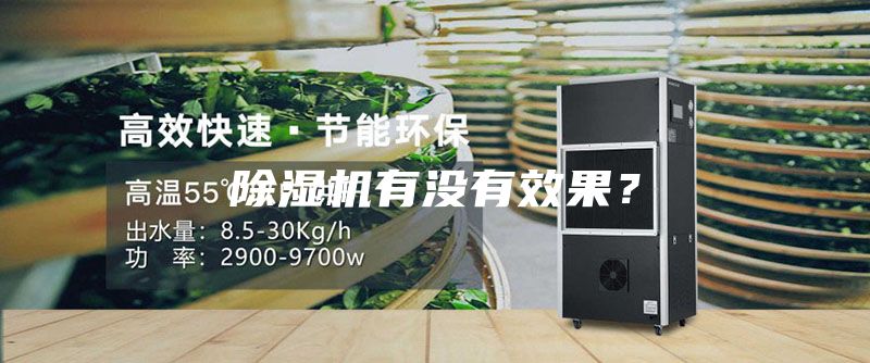 除濕機(jī)有沒(méi)有效果?