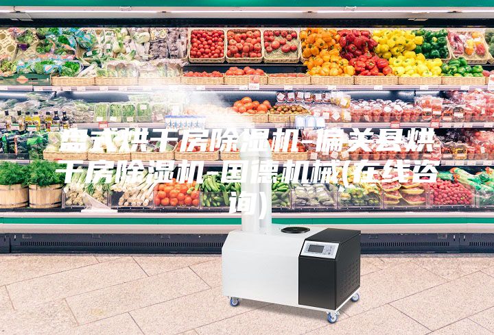 盤式烘干房除濕機(jī)-偏關(guān)縣烘干房除濕機(jī)-國德機(jī)械(在線咨詢)