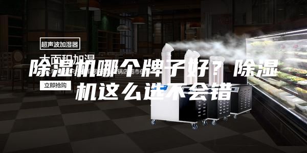 除濕機(jī)哪個(gè)牌子好？除濕機(jī)這么選不會(huì)錯(cuò)