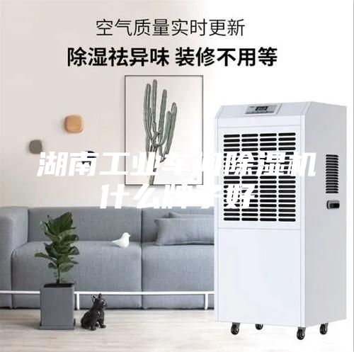 湖南工業(yè)車間除濕機(jī)什么牌子好