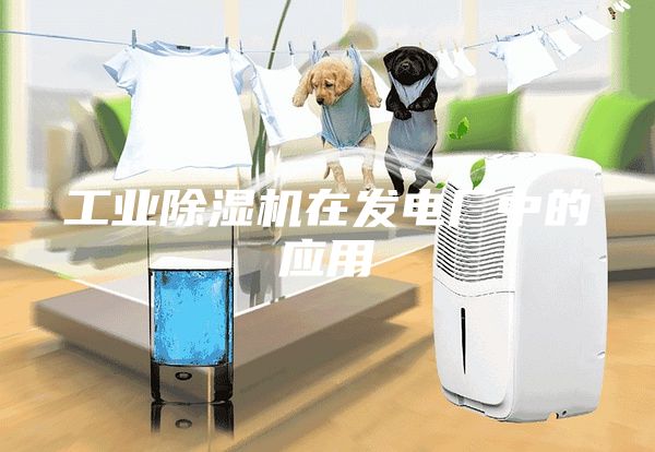 工業(yè)除濕機在發(fā)電廠中的應(yīng)用