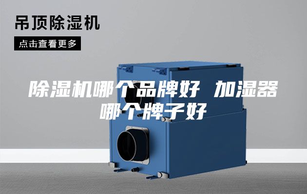 除濕機(jī)哪個(gè)品牌好 加濕器哪個(gè)牌子好