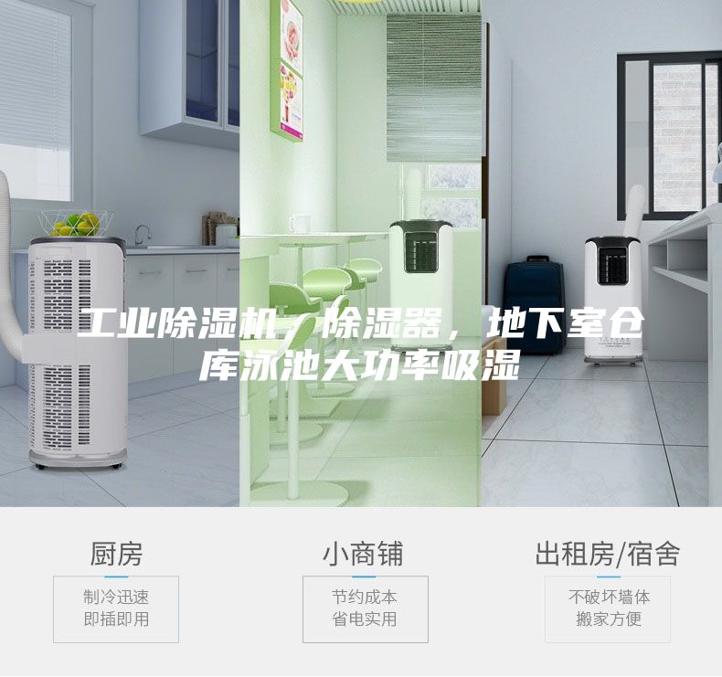 工業(yè)除濕機(jī)，除濕器，地下室倉(cāng)庫(kù)泳池大功率吸濕