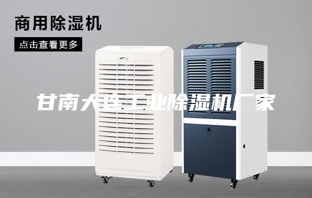 甘南大連工業(yè)除濕機(jī)廠家