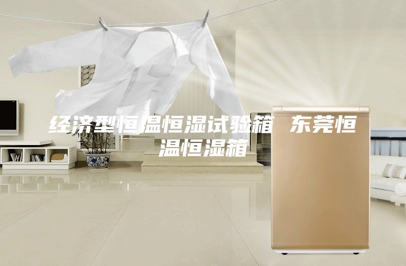 經(jīng)濟(jì)型恒溫恒濕試驗(yàn)箱 東莞恒溫恒濕箱