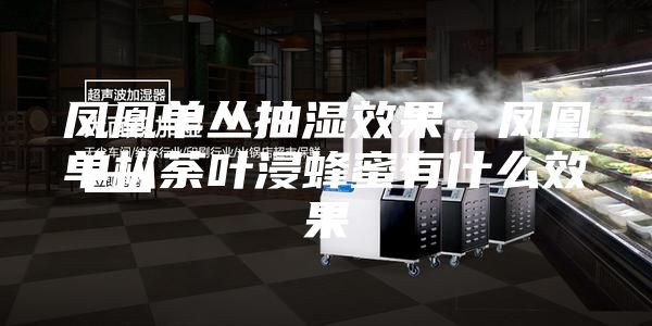 鳳凰單叢抽濕效果，鳳凰單樅荼葉浸蜂蜜有什么效果