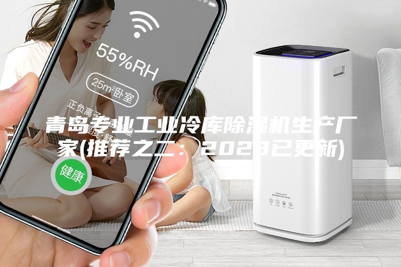 青島專業(yè)工業(yè)冷庫除濕機生產廠家(推薦之二：2023已更新)