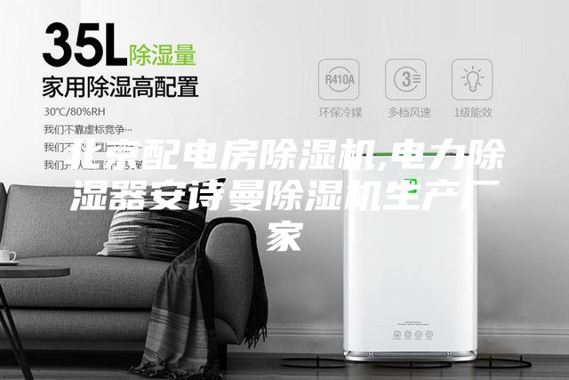 北京配電房除濕機,電力除濕器安詩曼除濕機生產(chǎn)廠家