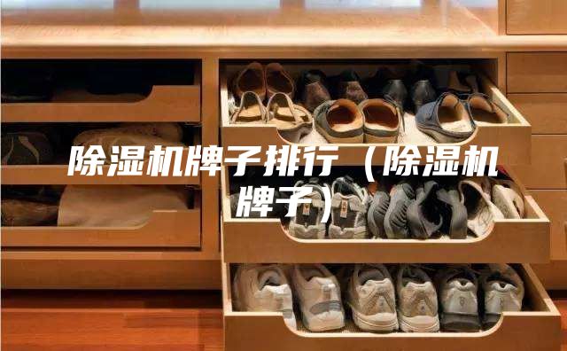 除濕機牌子排行(除濕機牌子)
