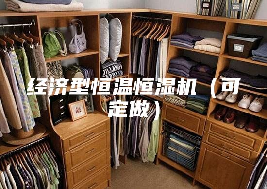 經(jīng)濟(jì)型恒溫恒濕機(jī)（可定做）