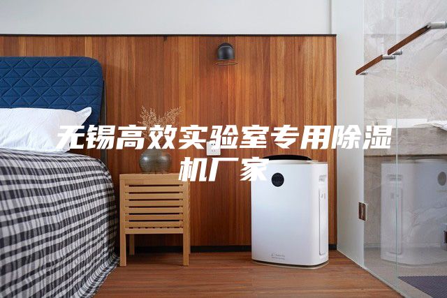無錫高效實驗室專用除濕機廠家