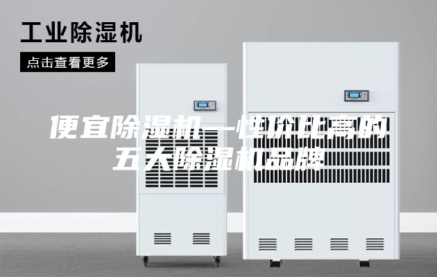 便宜除濕機(jī)—性價比高的五大除濕機(jī)品牌