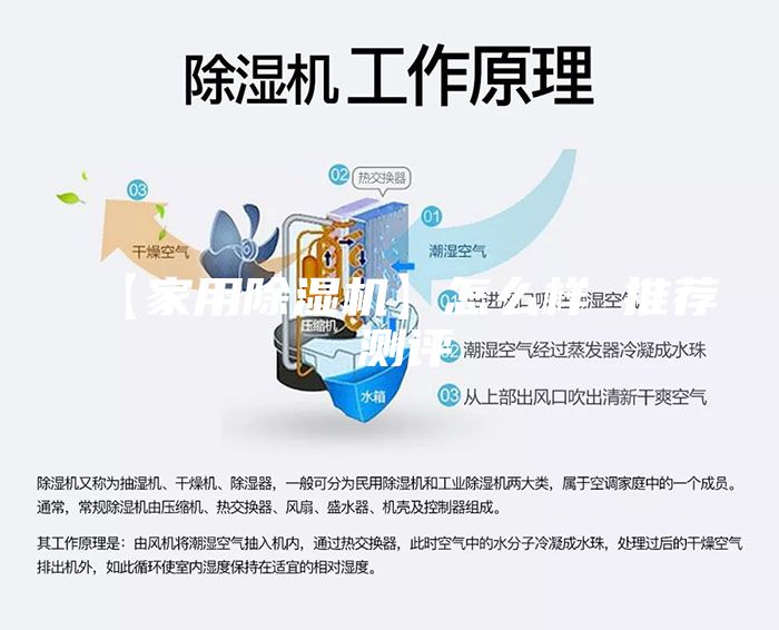 【家用除濕機(jī)】怎么樣 推薦 測(cè)評(píng)