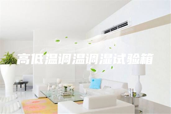 高低溫調(diào)溫調(diào)濕試驗(yàn)箱