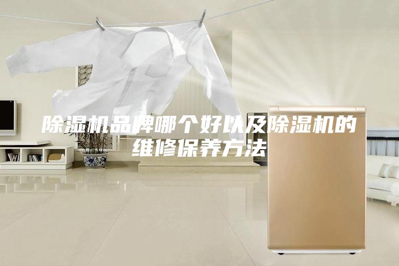 除濕機品牌哪個好以及除濕機的維修保養(yǎng)方法