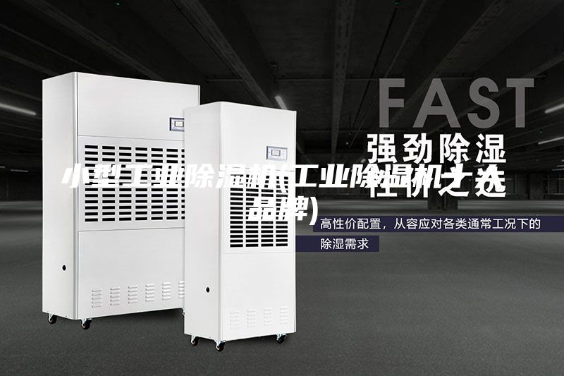 小型工業(yè)除濕機(jī)(工業(yè)除濕機(jī)十大品牌)